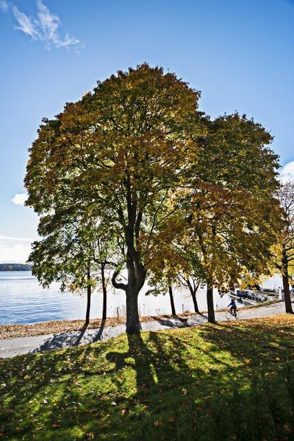Villa Soederas Vaxholm Exteriör bild